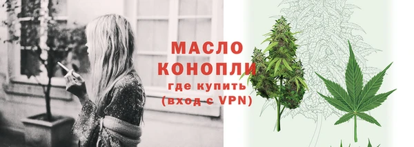 гидра Абаза
