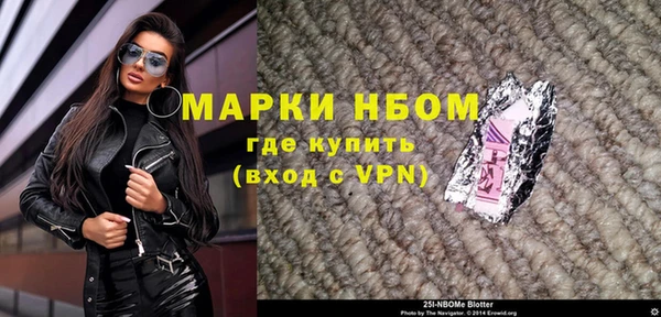 индика Алексин