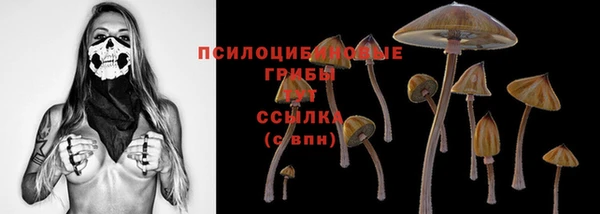 шишки Абинск