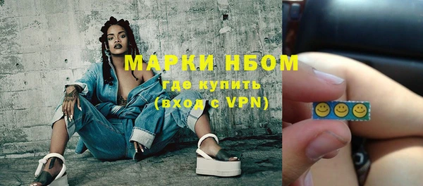 индика Алексин