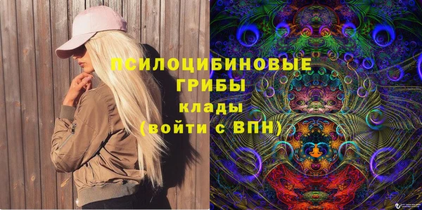 бошки Алексеевка