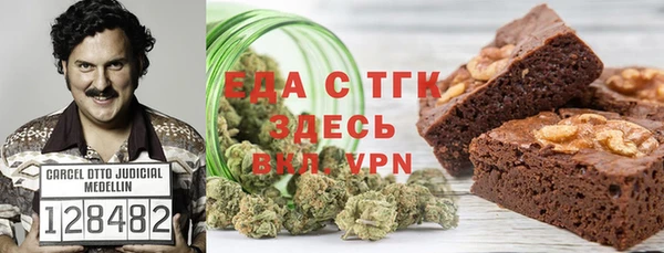 индика Алексин