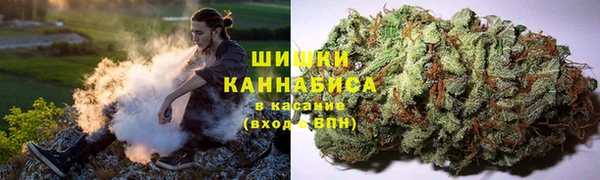 прущая мука Рославль
