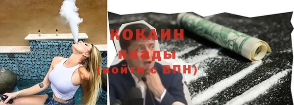 шишки Абинск